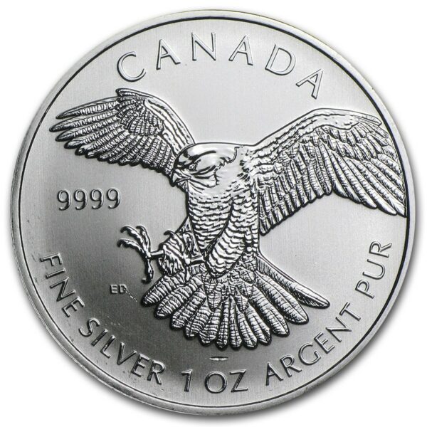 Royal Canadian Mint Stříbrná  mince Sokol stěhovavý Birds of Prey 1 Oz 2014