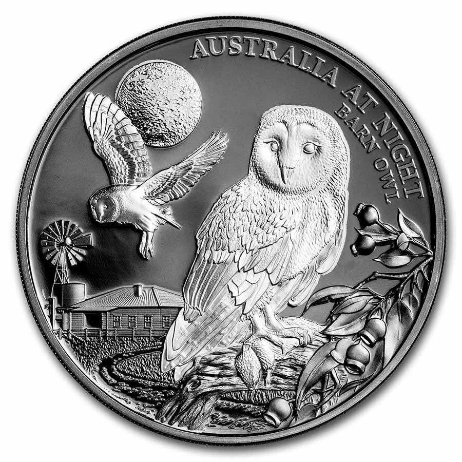 New Zealand Mint Stříbrná mince Night Barn Owl (Noční sova pálená) 1 Oz 1 $  2022  Niue
