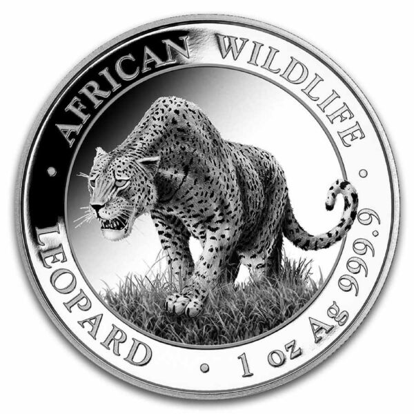 Bavarian Mint Stříbrná mince Leopard 1 Oz 100 shillings 2023 Somálsko Colorized